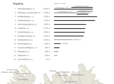Yfirlitsáætlun jarðganga 2021